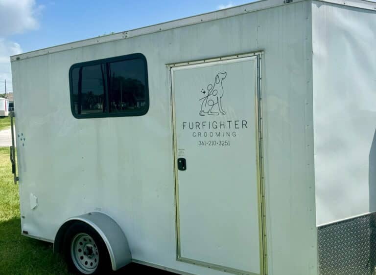 furfighter01a 768x563