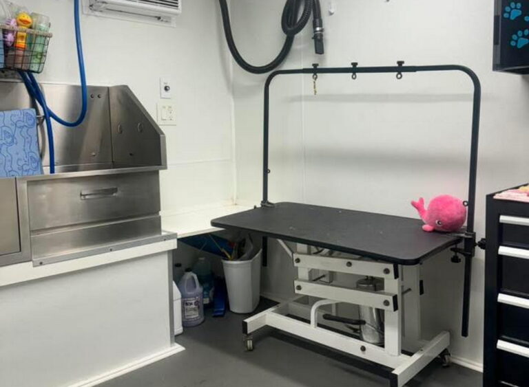 furfighter02 768x563