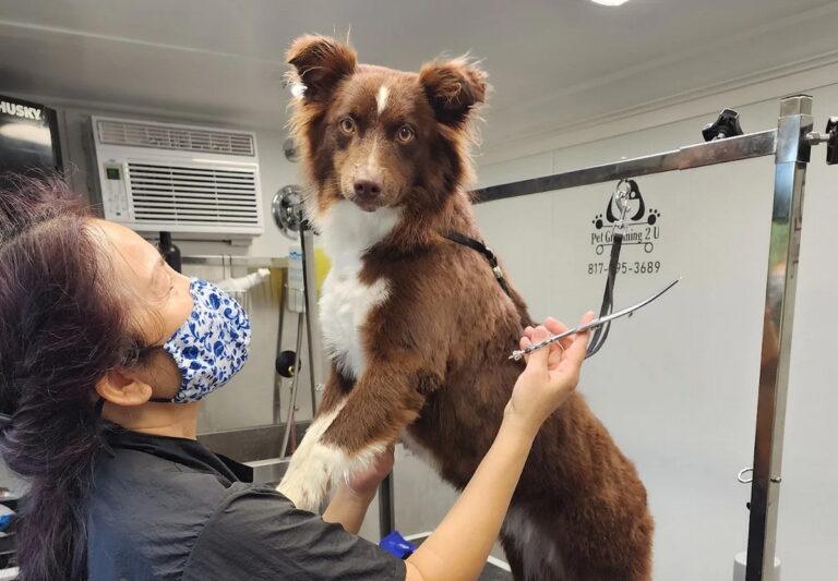 grooming2u 02 768x533