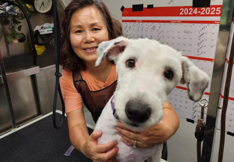 grooming2u 03 768x533