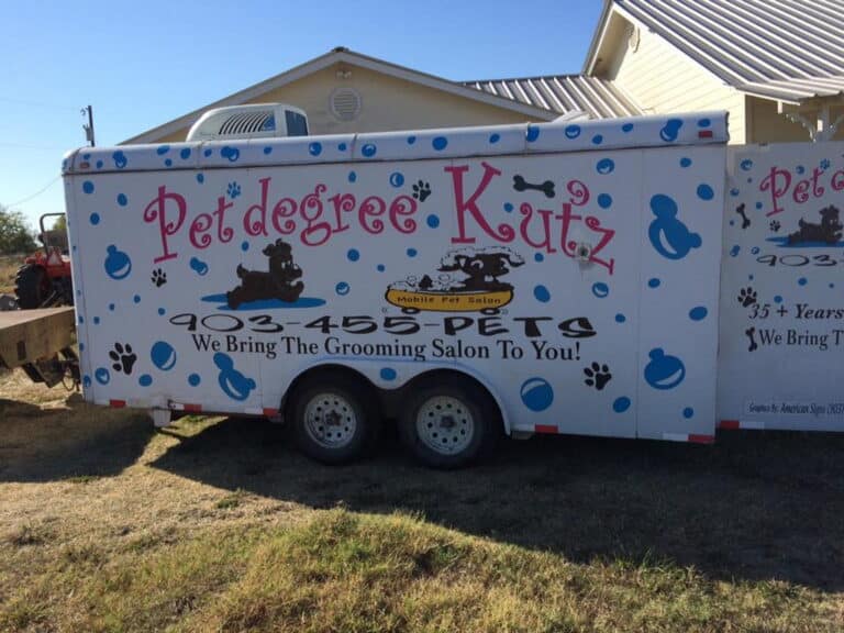 pet degree 01 768x576