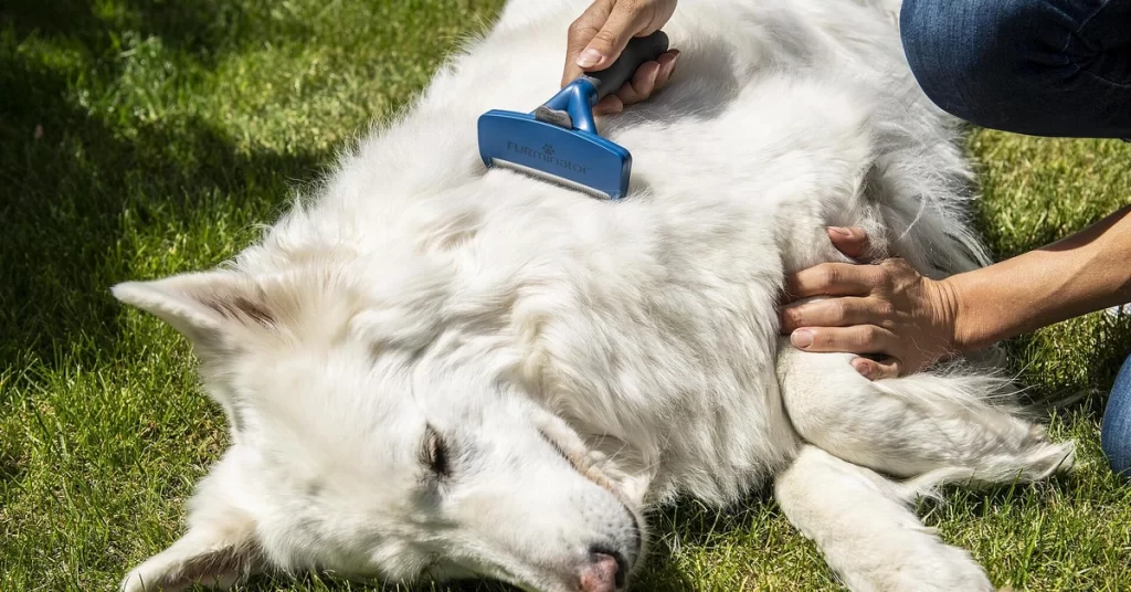 brushes for double coated dogs