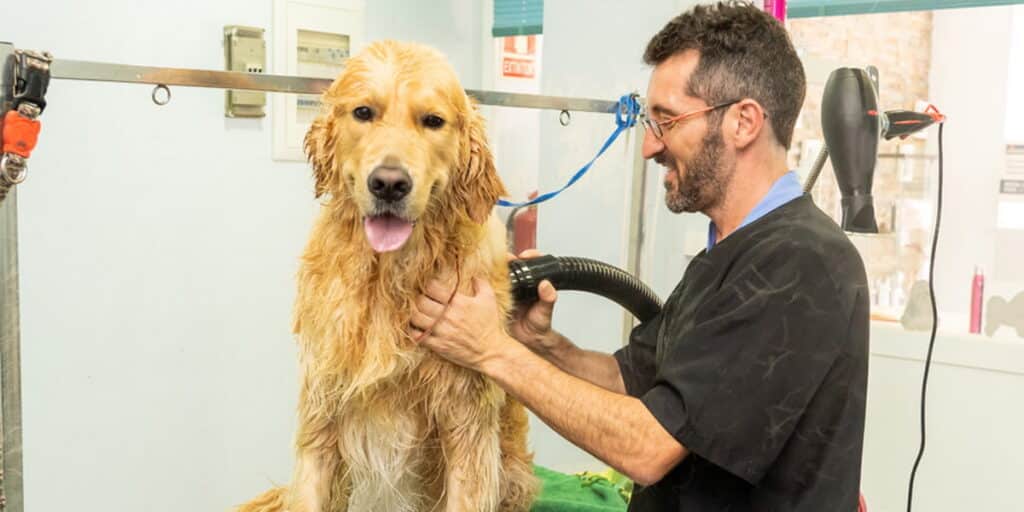 stress free grooming in a mobile grooming van parked outside a home