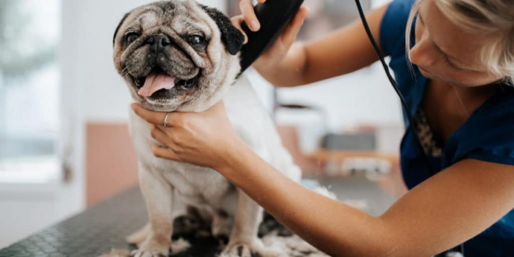 technology in mobile pet grooming is exploding