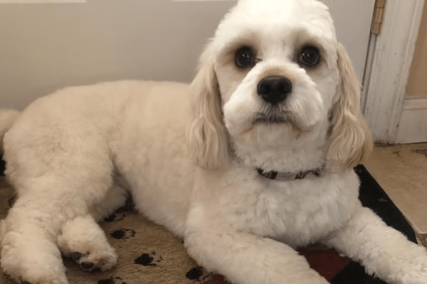 Screenshot 2026 01 14 095104