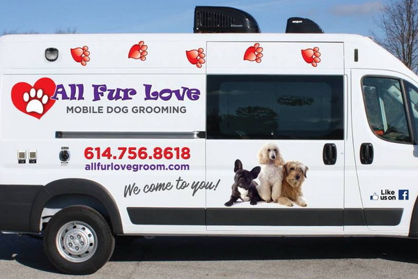 All Fur Love Mobile Dog Grooming 1
