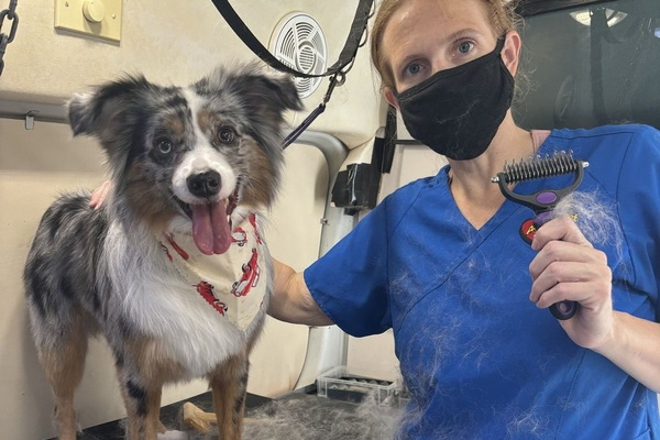 Aussie Cuyahoga Valley 2