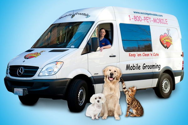 Aussie Pet Mobile NW Columbus 1