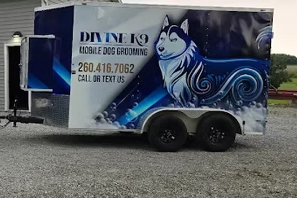 Divine K91