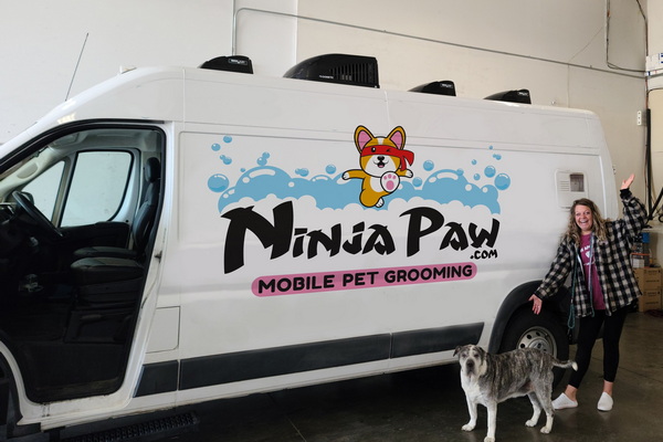 Ninja Paw 1
