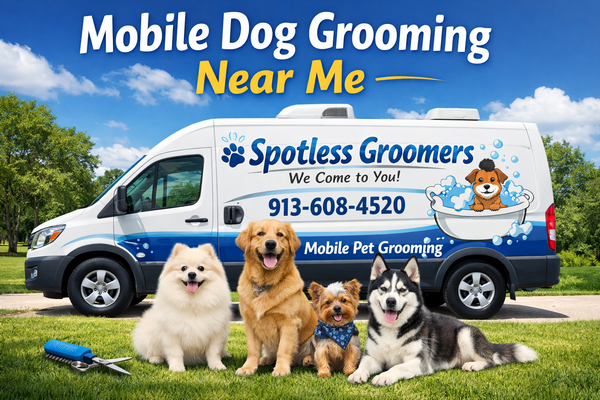 Spotless Groomers 1