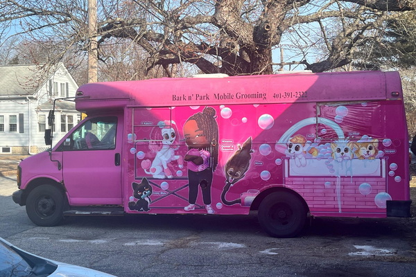 Bark N Park Mobile Grooming 1