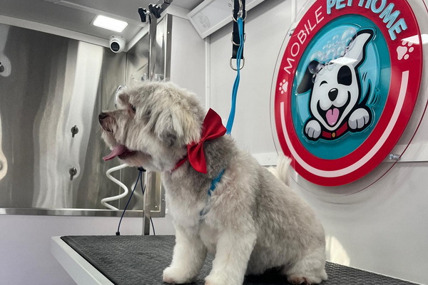 Mobile Pet Home 2