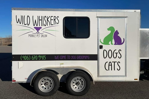 Wild Whiskers Pet Salon 1